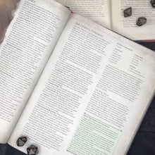 Load and play video in Gallery viewer, The Hellion's Heart Dice Bag